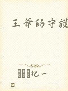 王爷的守护男妃