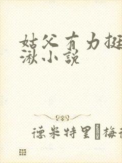 姑父有力挺送徐湫小说