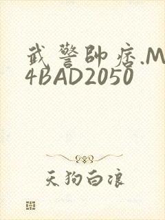 武警帅痞.MP4BAD2050