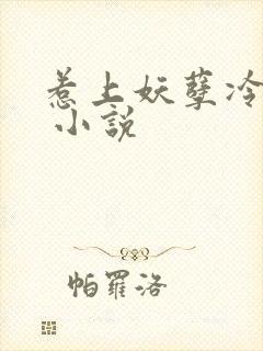 惹上妖孽冷殿下 小说