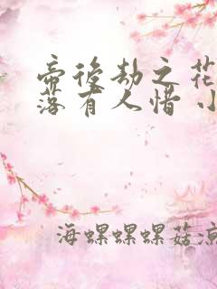 帝后劫之花开花落有人惜 小说