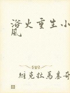 浴火重生小说陈风
