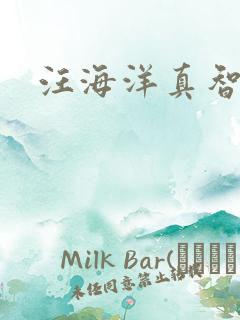 汪海洋真智师太