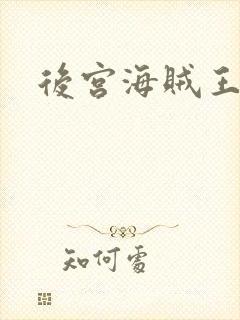 后宫海贼王