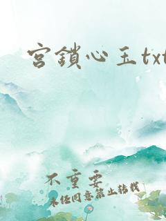 宫锁心玉txt