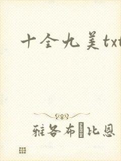 十全九美txt