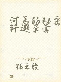 河马的秘密河文轩避孕套