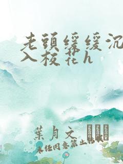 老头缓缓沉腰进入校花h