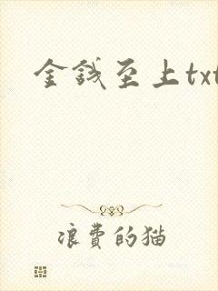 金钱至上txt