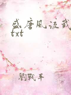 盛唐风流武状元txt
