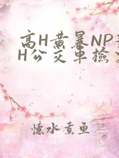 高H黄暴NP辣H公交车检票员