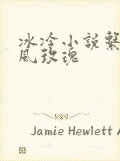 冰冷小说系列之风玫瑰
