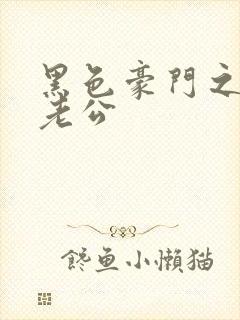 黑色豪门之王子老公