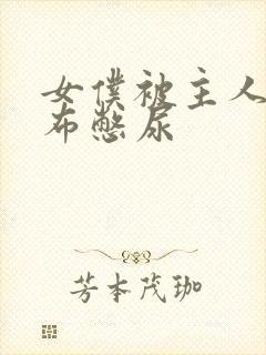 女仆被主人用胶布憋尿