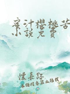 蜜汁樱桃苦咖啡小说免费