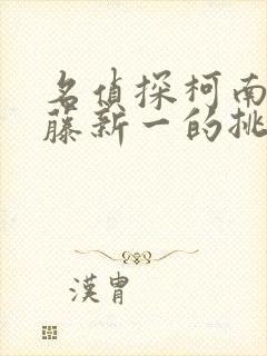 名侦探柯南给工藤新一的挑战书