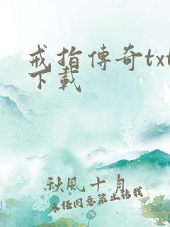 戒指传奇txt下载