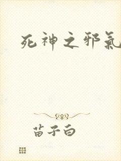 死神之邪气一护