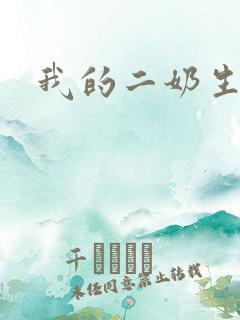 我的二奶生涯