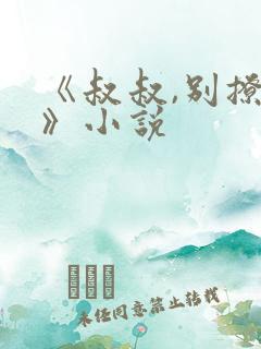 《叔叔,别撩我》小说