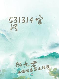 531314官网