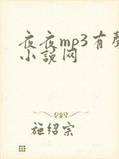夜夜mp3有声小说网