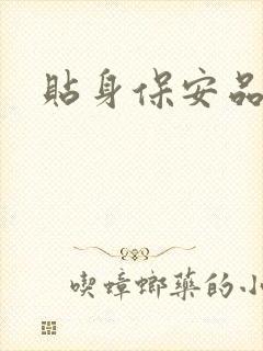 贴身保安品书网