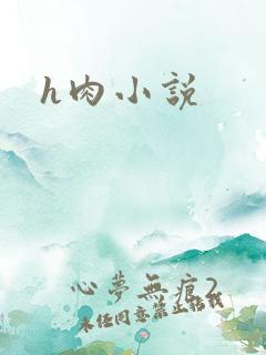 h肉小说