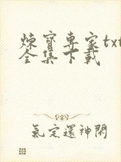 炼宝专家txt全集下载