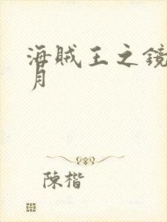 海贼王之镜花水月