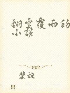 翻云覆雨的秘密小说