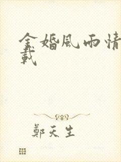 金婚风雨情 下载