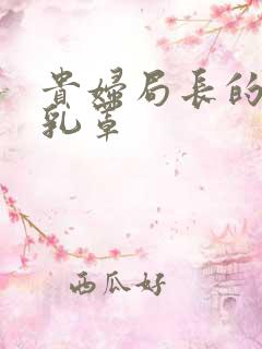 贵妇局长的蕾丝乳罩