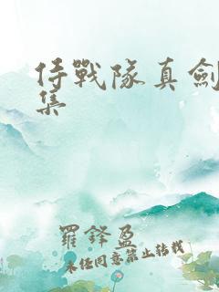 侍战队真剑者全集