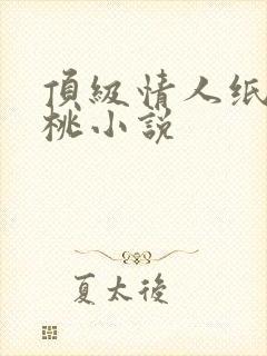 顶级情人纸皮核桃小说