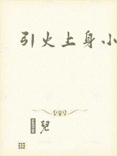 引火上身小说