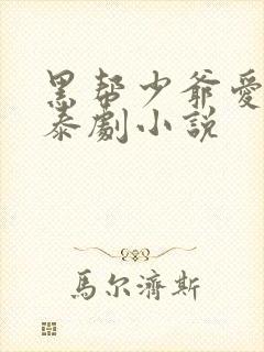 黑帮少爷爱上我泰剧小说