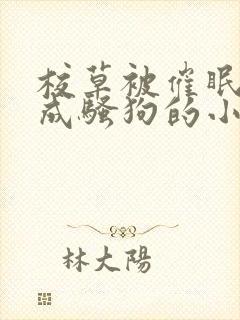 校草被催眠洗脑成骚狗的小说