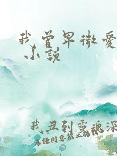 我曾卑微爱过你 小说