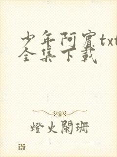少年阿宾txt全集下载