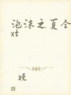 泡沫之夏全集txt