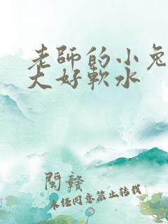 老师的小兔子好大好软水