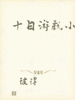十日游戏小说