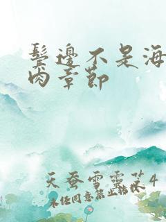 鬓边不是海棠红肉章节