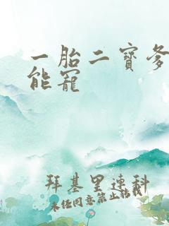 一胎二宝爹地超能宠