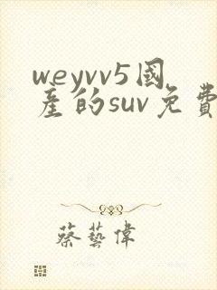 weyvv5国产的suv免费