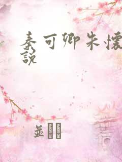 秦可卿朱怀镜小说