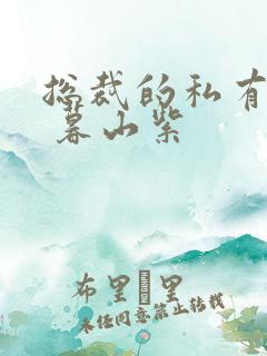 总裁的私有宝贝 暮山紫