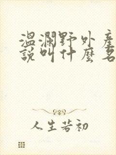 温澜野外产子小说叫什么名字