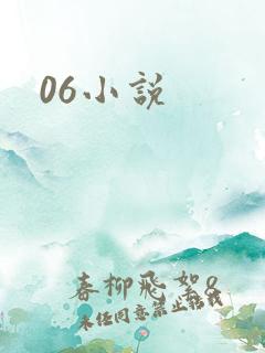 06小说
